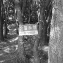 동대부속유치원 이미지