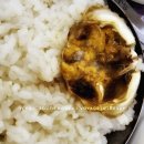 여수교동호스텔 | 여수돌게장백반 혼밥 다도해식당과 로타리식당 후기