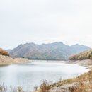 웅진리낚시터