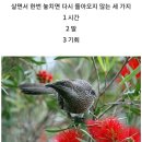 기쁨