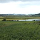 복흥농장 이미지