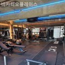 바카티오 이미지