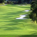 대지골프 이미지
