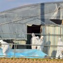 나주농장 이미지