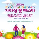 제11회 정기 트레킹 경기 가평 자라섬 꽃 페스타 트레킹 (2025. 9. 13.) 이미지