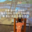 각궁 | [과천] 국립과천과학관 오픈런 후기! 활쏘기·한의사 체험까지 꽉 채운 하루 (주차 팁)