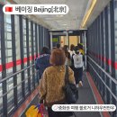 우의중국식품 | 중국 베이징 입국심사 &amp; 입국 신고서 작성 방법 총정리 북경 여행 전 반드시 알아야 할 꿀팁!