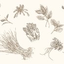 새대구한의원 이미지