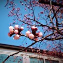 타임 행정사 사무소 이미지