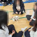 김제중앙중학교 티스토리