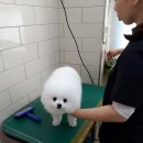 햇살가득동물병원 이미지