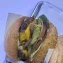 왕 코인 노래연습장 이미지