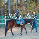 호포승마스쿨 이미지