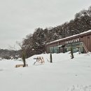 포레스트569