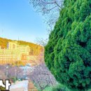 유엔기념공원주차장 이미지