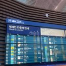 205 | 진에어 인천-나리타 도쿄 항공권예약, 좌석지정, LJ205 탑승후기 내돈내산