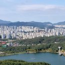 자연기업주