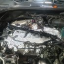 타이밍골프 이미지