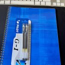 설레이다 이미지