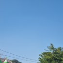 장호가든 | 동해시 묵호, 삼척시 장호항 1박2일