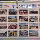 청양백세