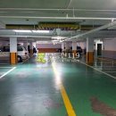 야탑로231번길 이미지