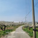 왕지4길 이미지