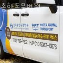 청화종합동물병원 | 용산구 이태원동 동물병원 청화종합동물병원 진료시간 접근성 이용후기