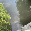 미래사(통영)