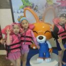 정무태권도 이미지