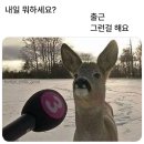 제가 출근이라는걸 해요 🙂‍↔️