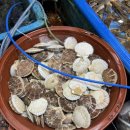 진우수산 이미지