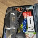 네덜란드에 돌아왔다