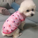애견나라 쇼핑하우