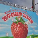 관양1동행정복지센터_서 | 전북 봄먹거리축제 주말여행 완주 삼례딸기대축제 방문 후기