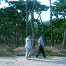 나성농장 이미지