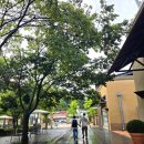 여주-0296 이미지