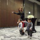 형제플라워 스타뉴스