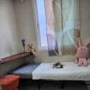 스테이고대
