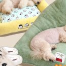 스누피 애견 이미지