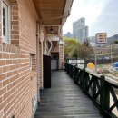 아지랑냉이랑 이미지