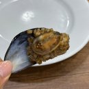 돌마니 | [튀르키예] Nevizade에서 먹은 미디예돌마 홍합밥 코코렉 솔직후기