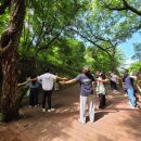 경상북도안동의료원 이미지