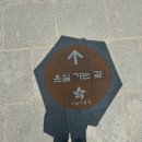 민들레다육 | 쪄죽을것 같았지만 예뻐서 용서! 서울식물원 수국전+플라워플로우