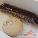 부숑(Bouchon) 이미지