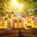 베이커리 이미지