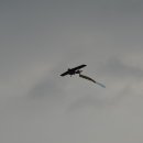 점촌중학교 이미지