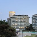 라카이샌드파인 이미지