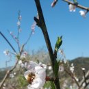 하늘농장 이미지