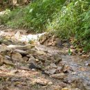 증안골약수 이미지